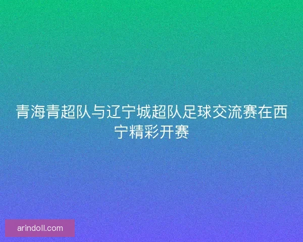 青海青超队与辽宁城超队足球交流赛在西宁精彩开赛 青海青超队与辽宁城超队足球交流赛在西宁精彩开赛
